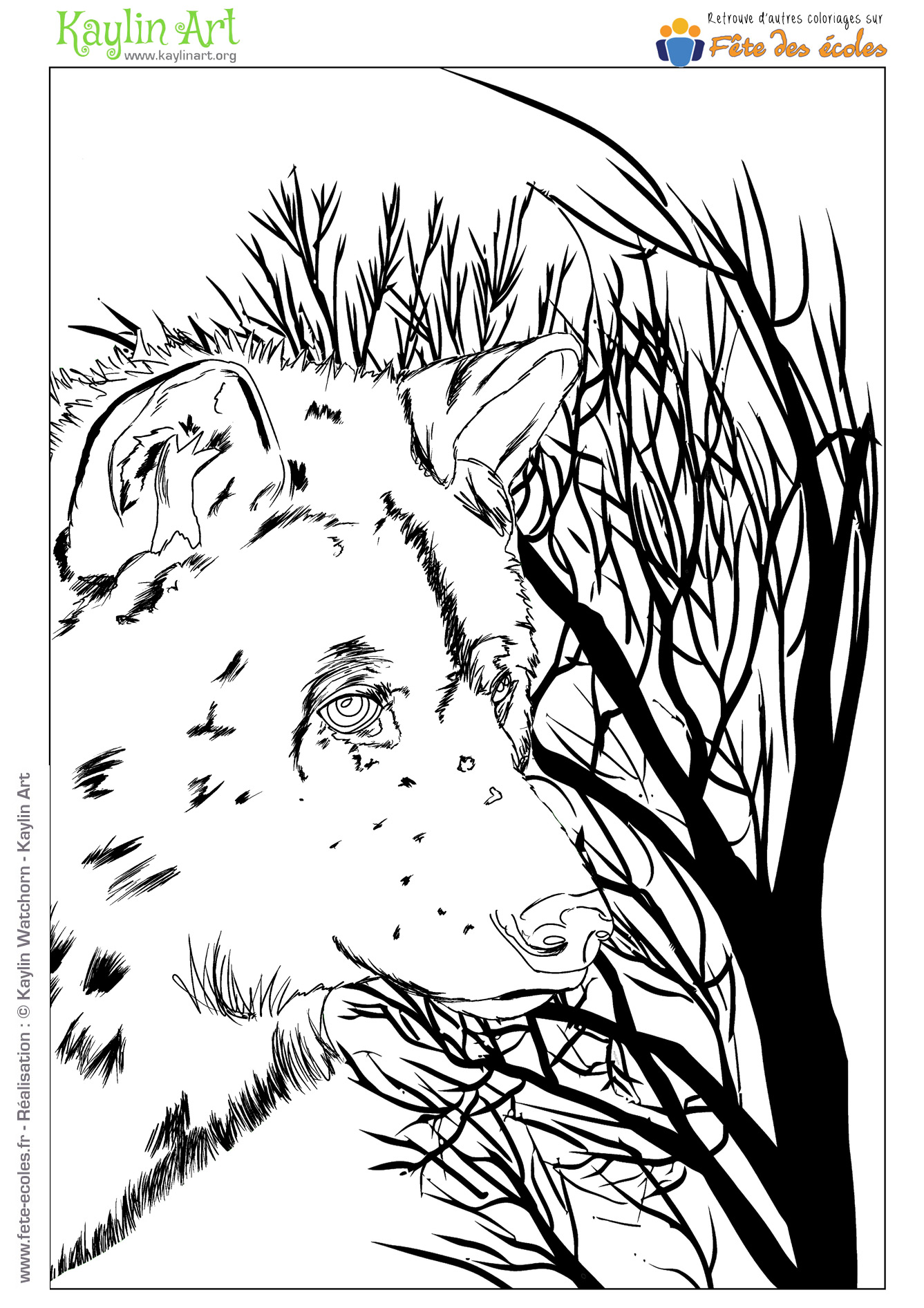 Coloriage d'un loup dans la forêt de l'illustratrice Kaylin Art, Kaylin Watchorn